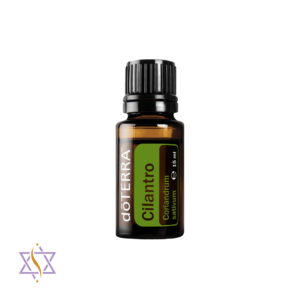 Cilantro 15ml